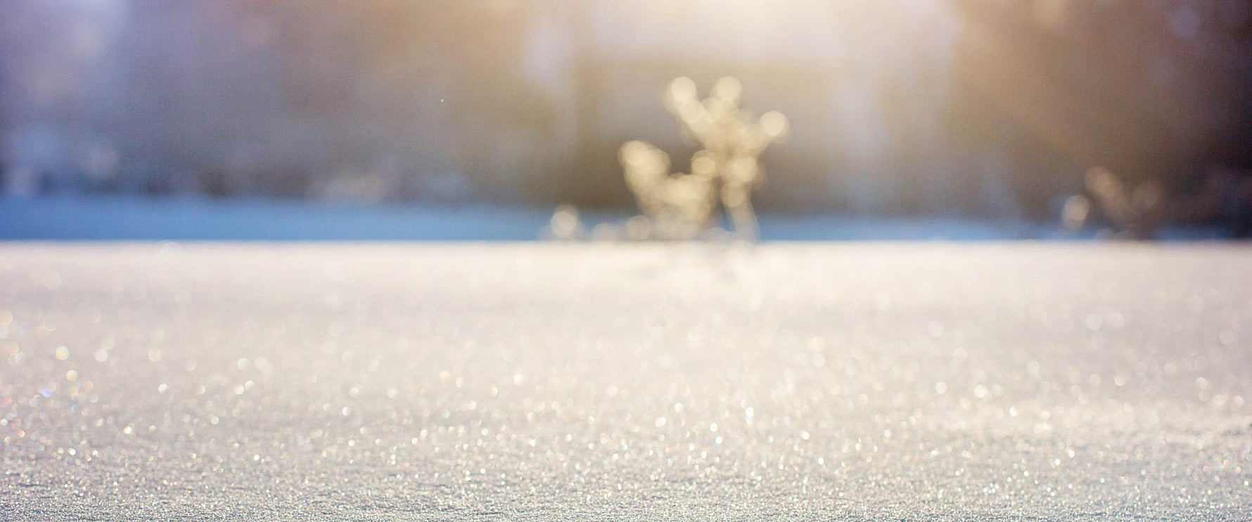 Iverson Snowshoes Iversons Snowshoes